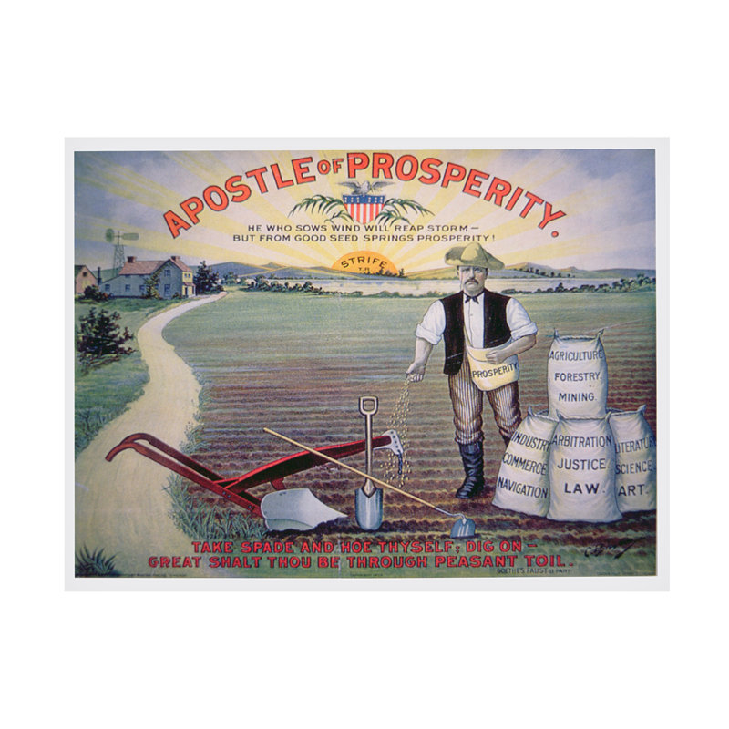 «American School Roosevelt Apostle Of Prosperity Election», affiche sur toile, 1903, H 14 po x l 19 po