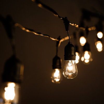 Outdoor 12 - Bulb 24'' Plug-in String Light