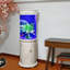 Aquarium 19 à 19 gallons-1639413054