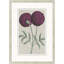 Flourishing Symmetry 6 Painting