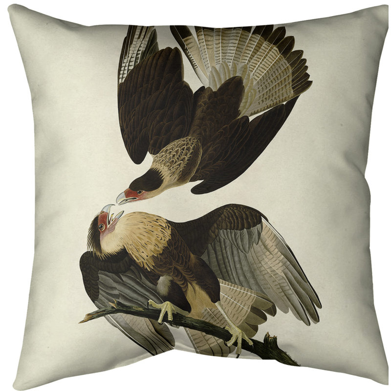 Coussin décoratif d’oreiller brasilian caracara eagle, 20 po x 20 po, Blanc cassé / brun, Sergé de coton