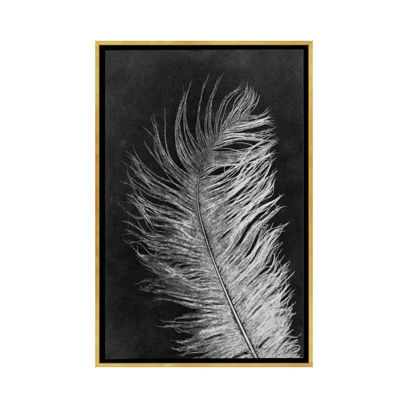 «Feather III Dark», reproduction d'art murale encadrée, Reproduction encadrée sans passe-partout, H 60 po x l 40 po, Doré