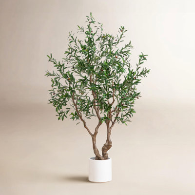 Decota 96" Olive Tree in Planter