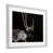Farmhouse Grey Frame selected