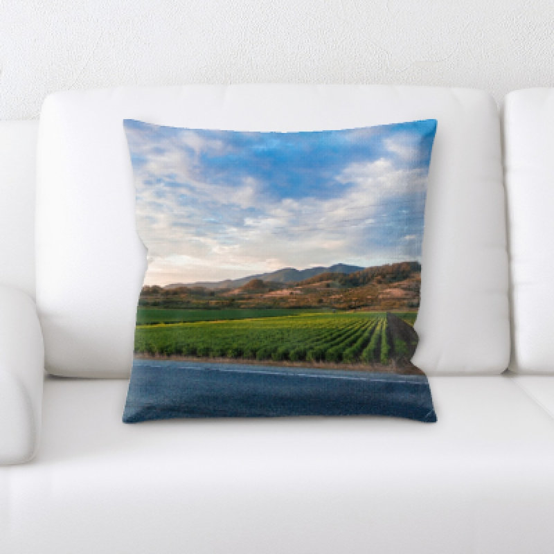 Microsuede Throw Pillow