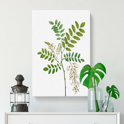 Acacia Tree Flowers - Wrapped Canvas