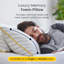 Morandi Support Pillow