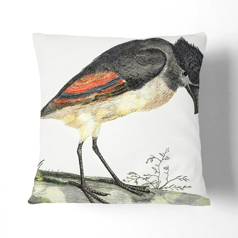 Boat-Billed Heron Square Throw Cushion, Stone, 55cm H x 55cm W x 20cm D