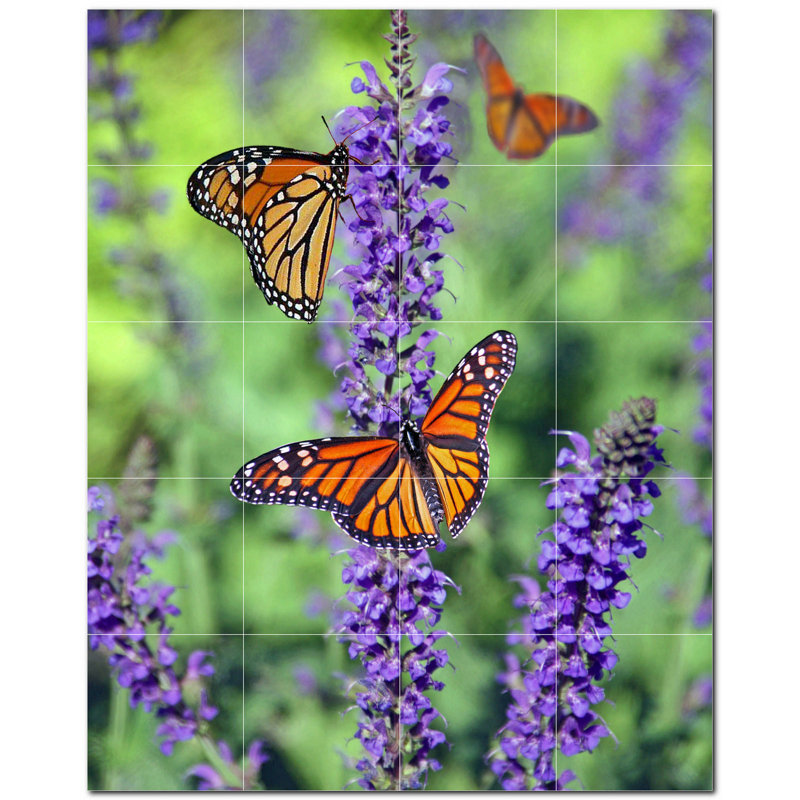 Murale décorative en céramique 6 po x 6 po Butterfly Photo