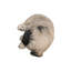 Animals Polyresin Garden Statue