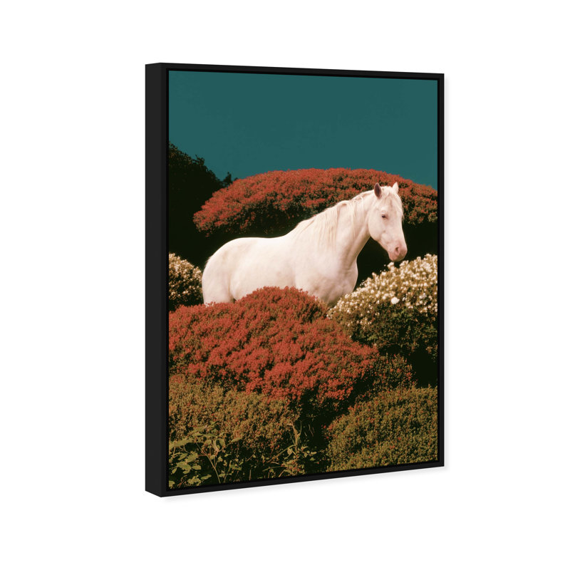 The Prince Print by Oliver Gal, 17"H x 25"W, Black Floater Frame