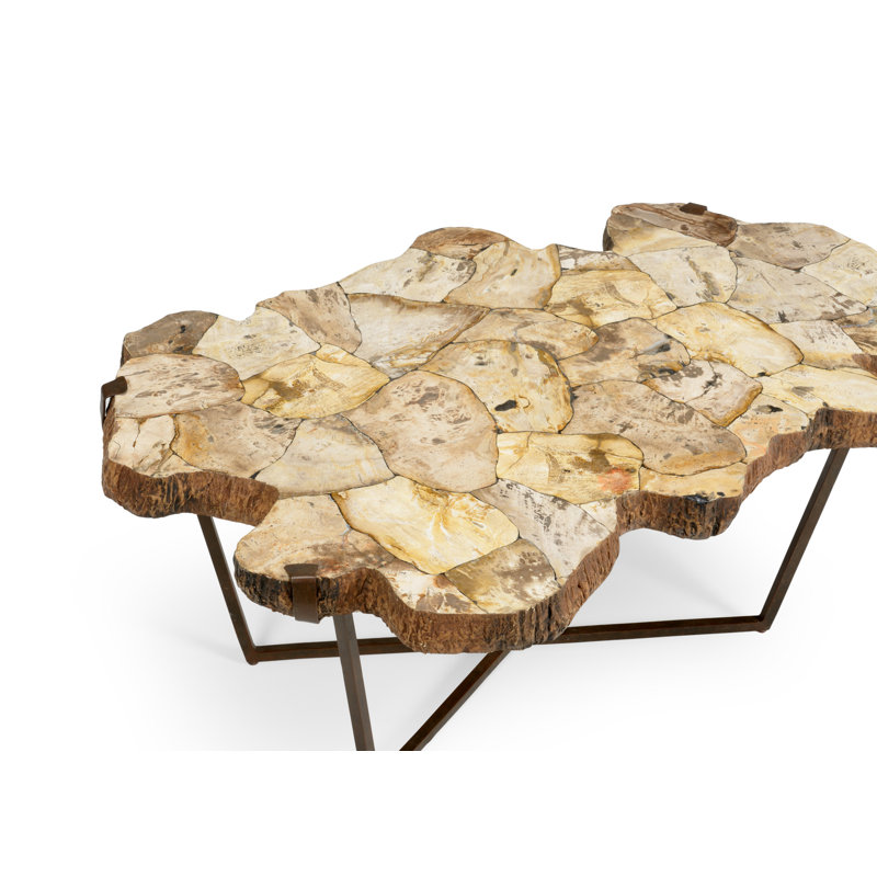 Wildwood Rustic Petrified Wood and Iron Coffee Table