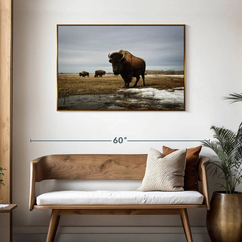 Bison Cloud Day, Cadre flottant doré, 43 po x 29 po