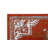Oriental Indoor Rug-11376258