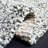 Poynter Area Rug-1840576758