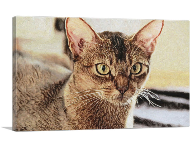 Reproduction sur toile tendue Abyssinian, H 26 po x l 40 po x P 0,75 po