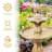 Malpelo Traditional 2-Tier Resin Solar Water Fountain with Battery Backup - Earth-1036765758