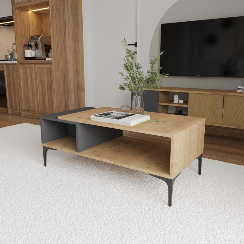 Elberfeld Coffee Table with Storage, Grey/Brown
