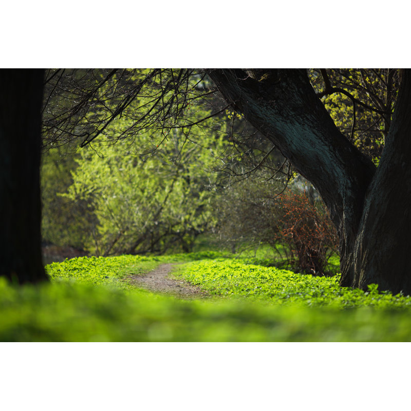 Spring Park 1 Piece Wrapped Canvas Wall Art, 81cm H x 122cm W x 3.8cm D