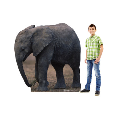 Animals 60'' Animals Cardboard Standup