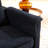 55" Velvet Two Seater Pull Out Sofa Bed, Adjustable Backrest With  Usb Ports, Two Side Pockets, 3 In 1 Convertible Sleeper Sofa Bed