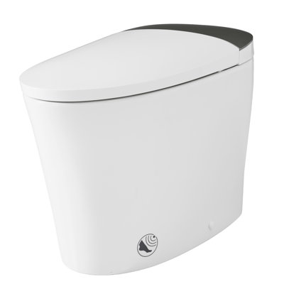 Elongated Smart Bidet Toilet With Heated Seat, ADA Comfort Height, Powerful Flush, Warm Water/Dryer, Night Light, Dual-Flush 1.1/1.6 GPF