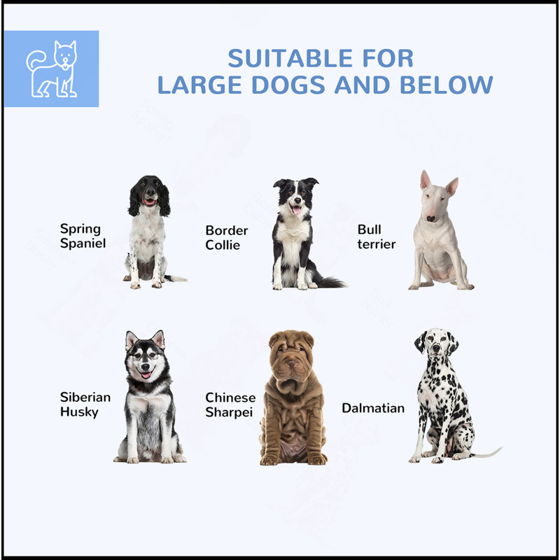 Chenil d'extérieur pour chien de 9,2 pi x 8 pi x 5,6 pi avec porte verrouillable pour chiens de taille moyenne et grande, argent