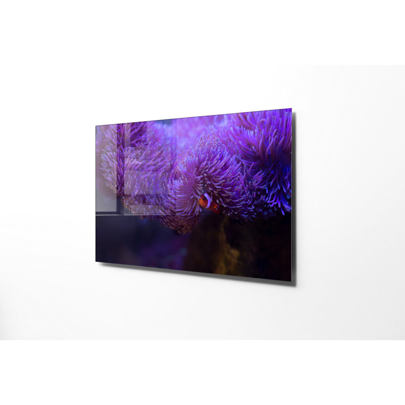 Verre 2, H 19,7 po x l 27,6 po x P 1 po