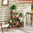 Paylee Solid Wood Plant Stand 6 Tier