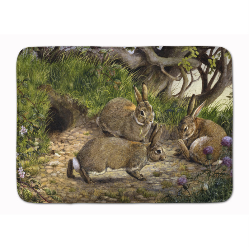 Tapis pour salle de bain à mousse à mémoire de lapin et de lapin