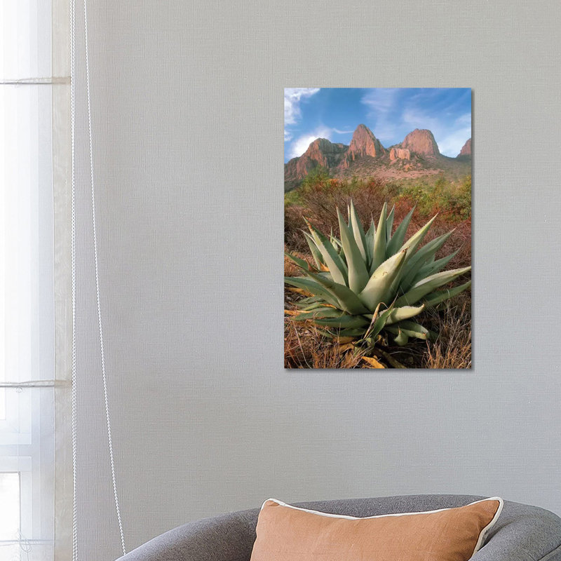 Chisos Agave and the Chisos Mountains, Big Bend National Park, Texas I 1 Piece Wrapped Canvas Wall Art