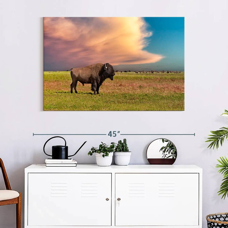 Brampt Badlands Bison, 26" H x 39" W