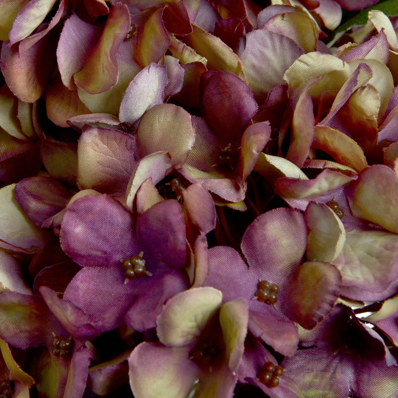Hydrangea Arrangement