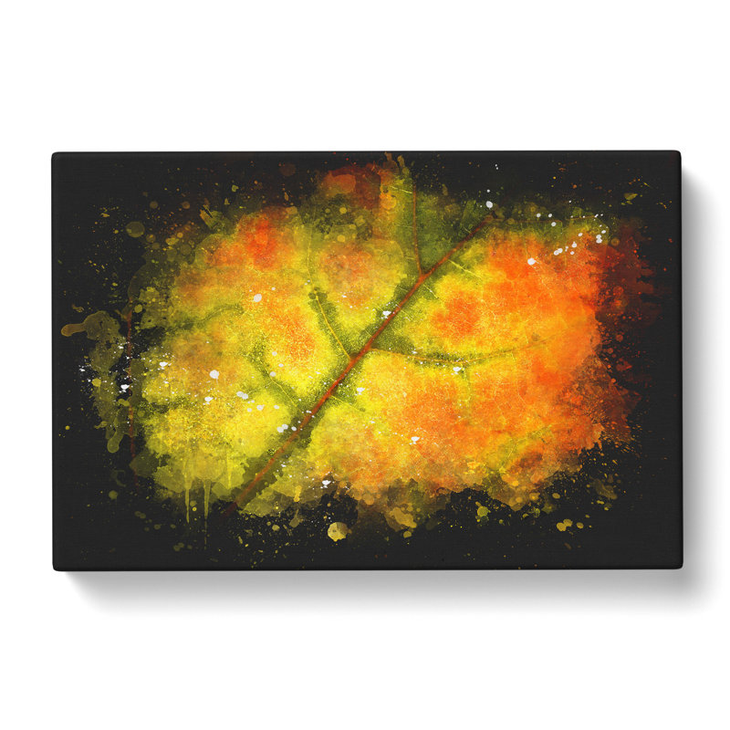 The Leaf Of A Sycamore Tree - Wrapped Canvas Print, 40cm H x 60cm W x 3cm D