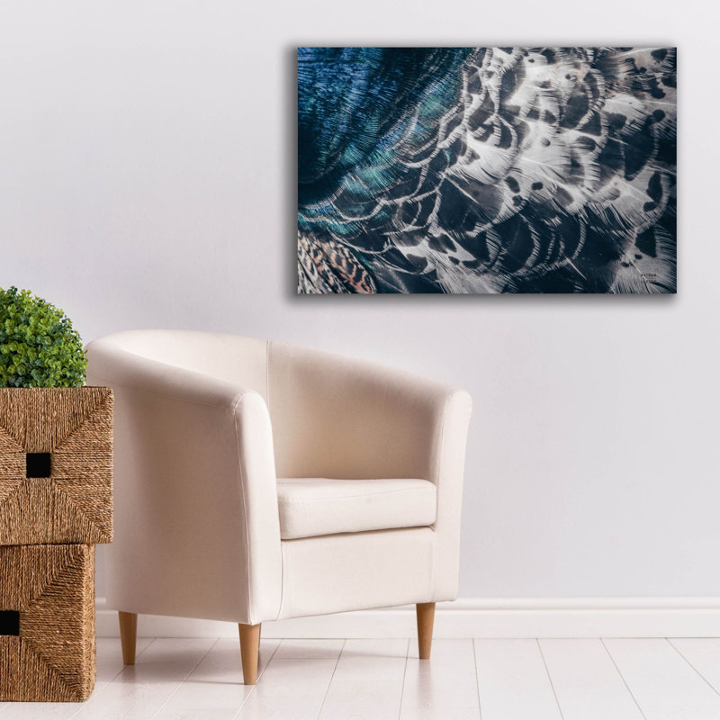 Epic Graffiti 'Peacock Study 1 Horizontal'  by Nathan Larson Canvas Wall Art, 40" x 26"
