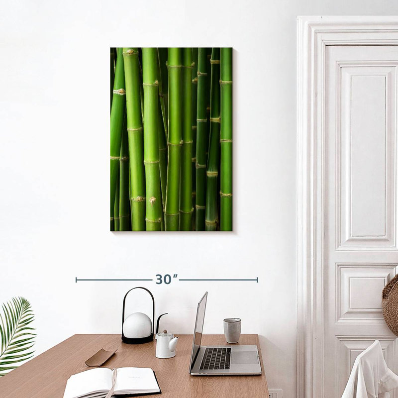 Harnek Bamboo Trunks, 30" H x 20" W