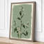 White Flowering Study Botanical - Wrapped Canvas-1271056840-1271056845