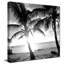 «BW Bimini Sunset I (Square)» par Susan Bryant, reproduction-1328241670-1328241721