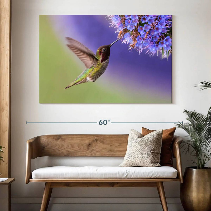 Nectar Brampt sirotant un colibri, H 34 po x l 51 po
