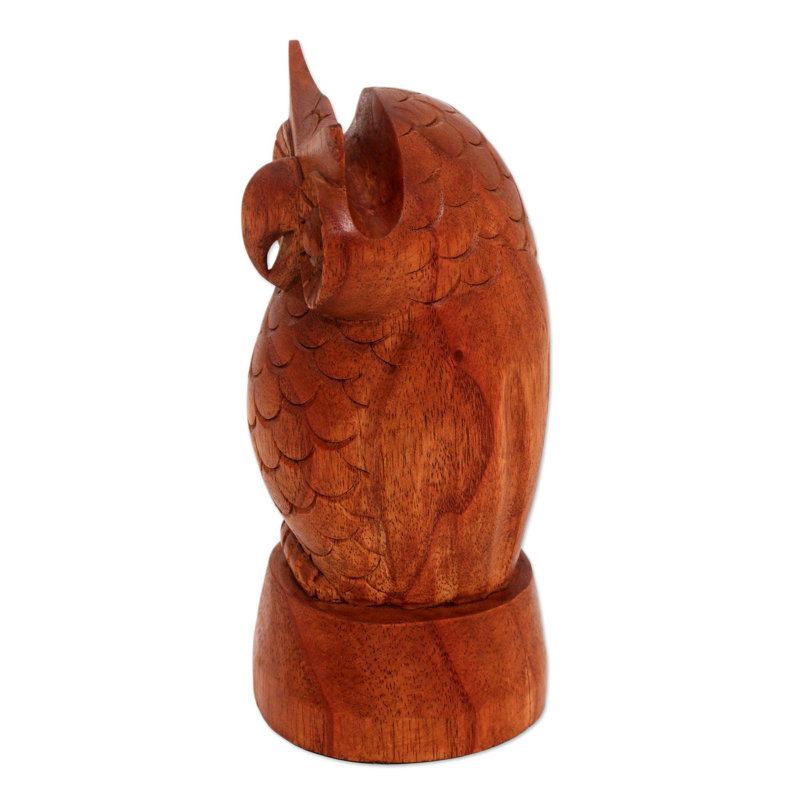 Porte-lunettes en bois Wise Owl