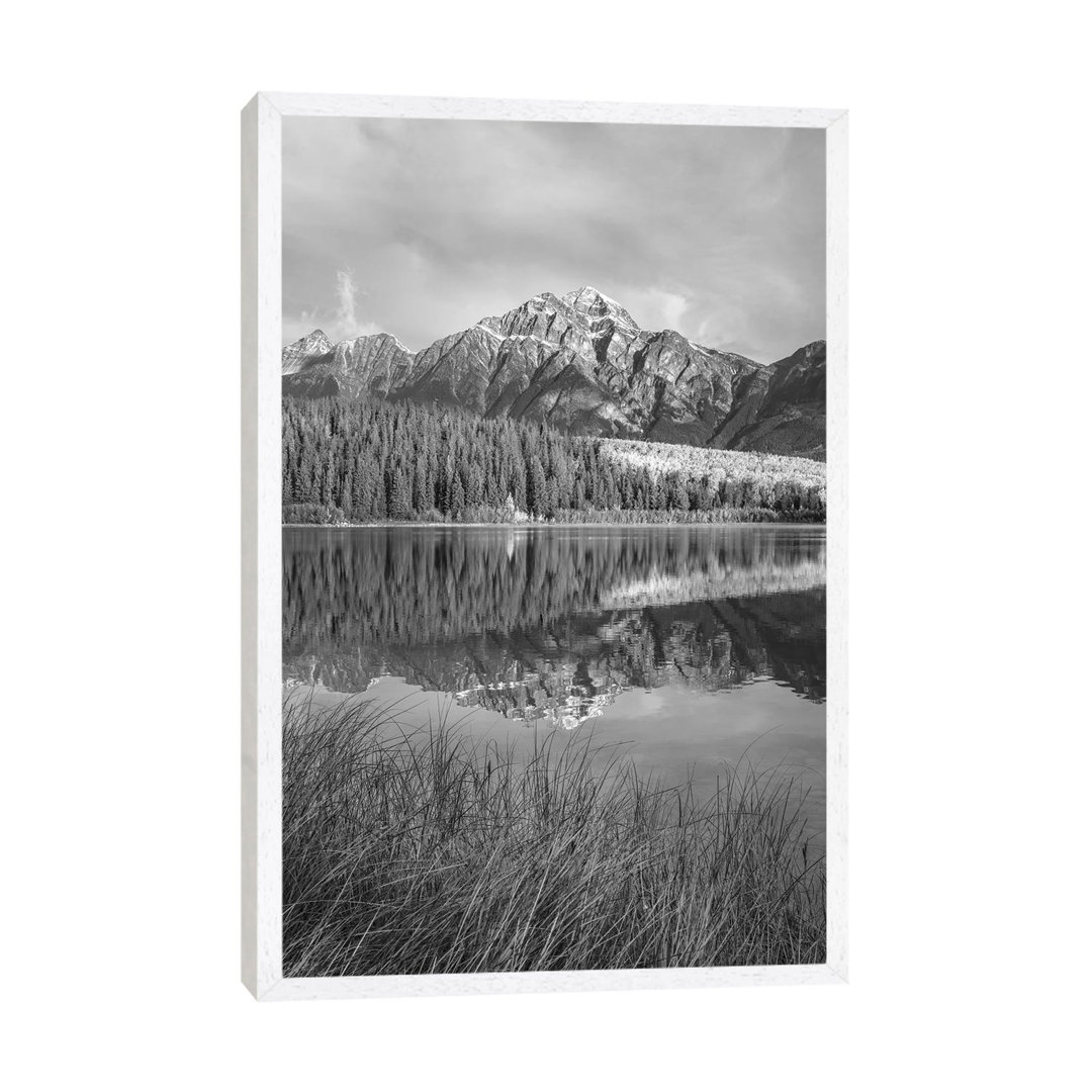 Pyramid Mountain From Cottonwood Slough, Jasper National Park, Alberta, Kanada von Tim Fitzharris - Gallery-Wrapped Canv...