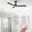 Ventilateur de plafond 48 "à 3 pales avec télécommande et éclairage inclus Elimelech