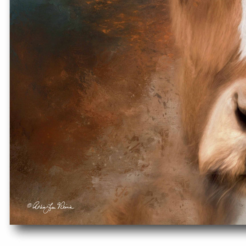 « big brown cow », reproduction sur toile, H 30 po x l 30 po