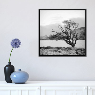 " Connemara Tree I " by Geoffrey Ansel Agrons