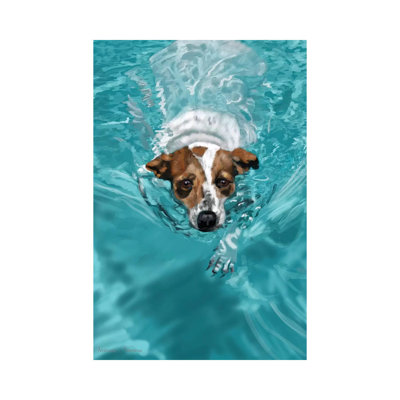 Jack Russell Swimming by Vicki Newton - Wrapped Canvas Painting