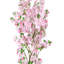 Arbre à cerisier en fleurs-468754744