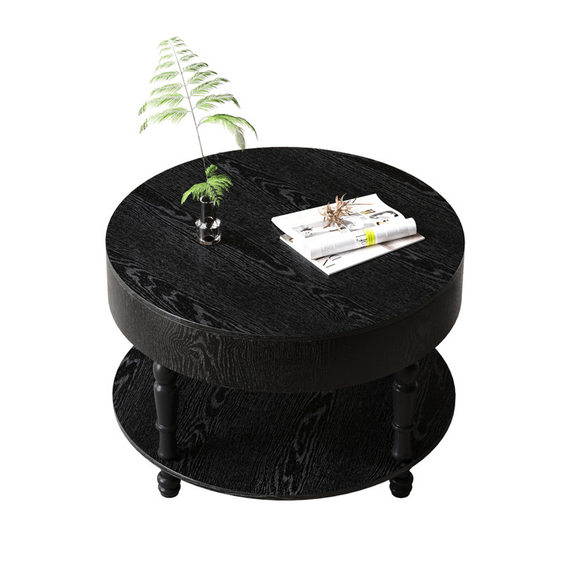 Table basse ronde moderne dans le salon, 31,5 po, double couche de rangement, compartiment caché pour les couvertures, base en forme de H, pieds réglables noirs avec rangement rabattable, tablette inférieure ouverte, solide