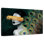 Coup de pinceau Leisha Lady Peacock Gold