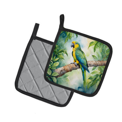 Paire de porte-casseroles Yellownaped Amazon