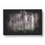 Pretty Forest - Wrapped Canvas-56642308